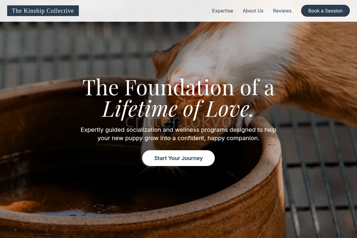 Puppy Animal Care