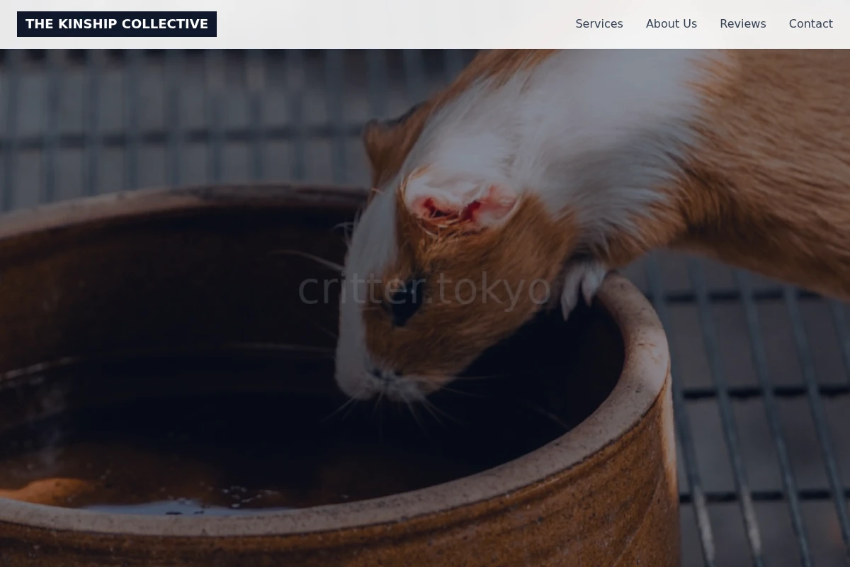 Treat Animal Care