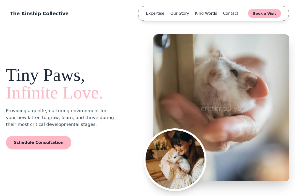 Kitten Animal Care