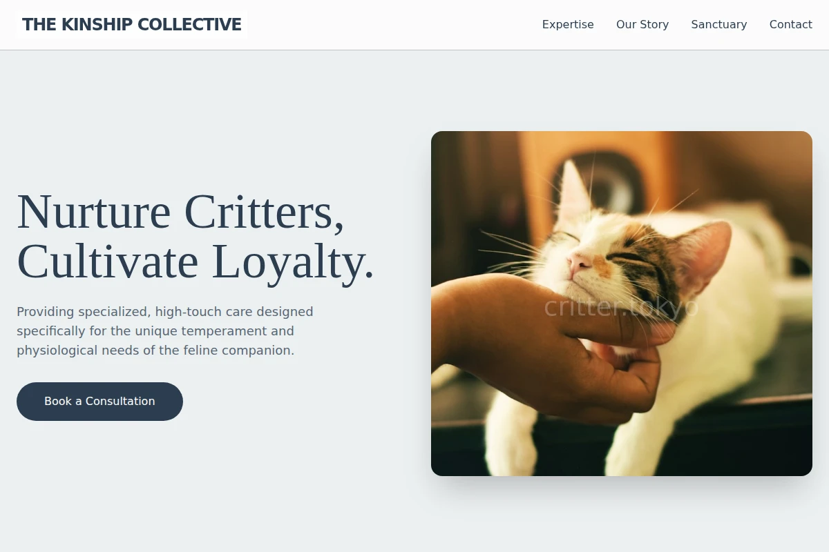 Feline Animal Care