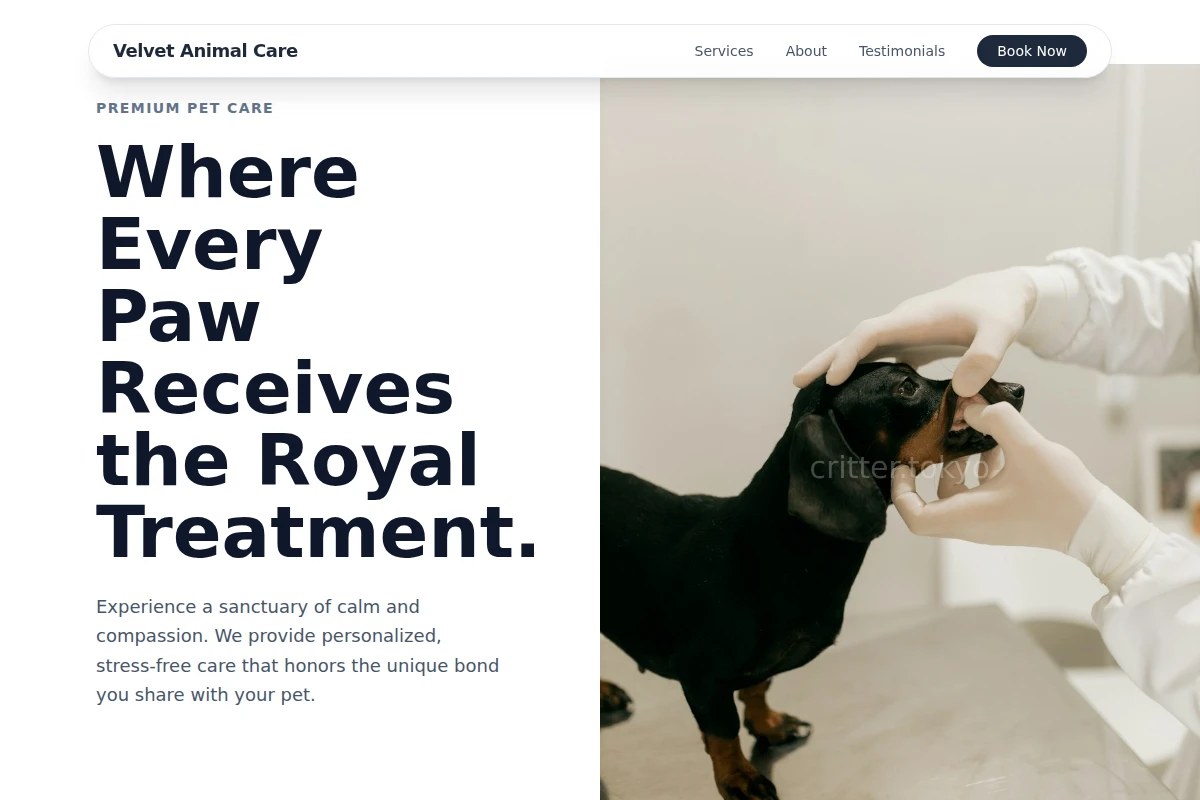 Velvet Animal Care