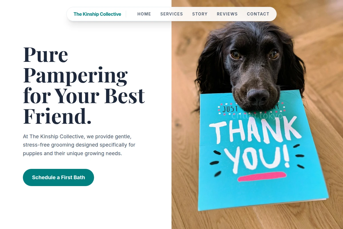 Puppy Pet Grooming