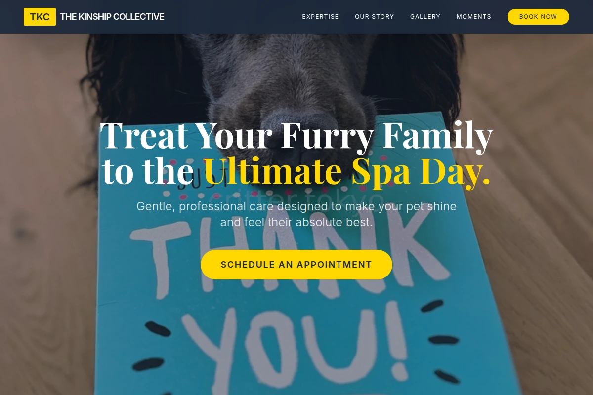 Care Pet Grooming