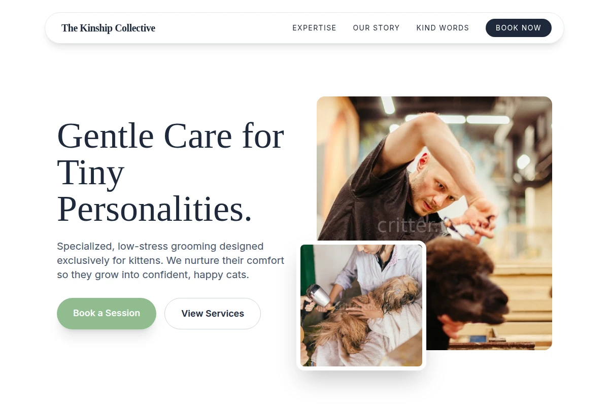Kitten Pet Grooming