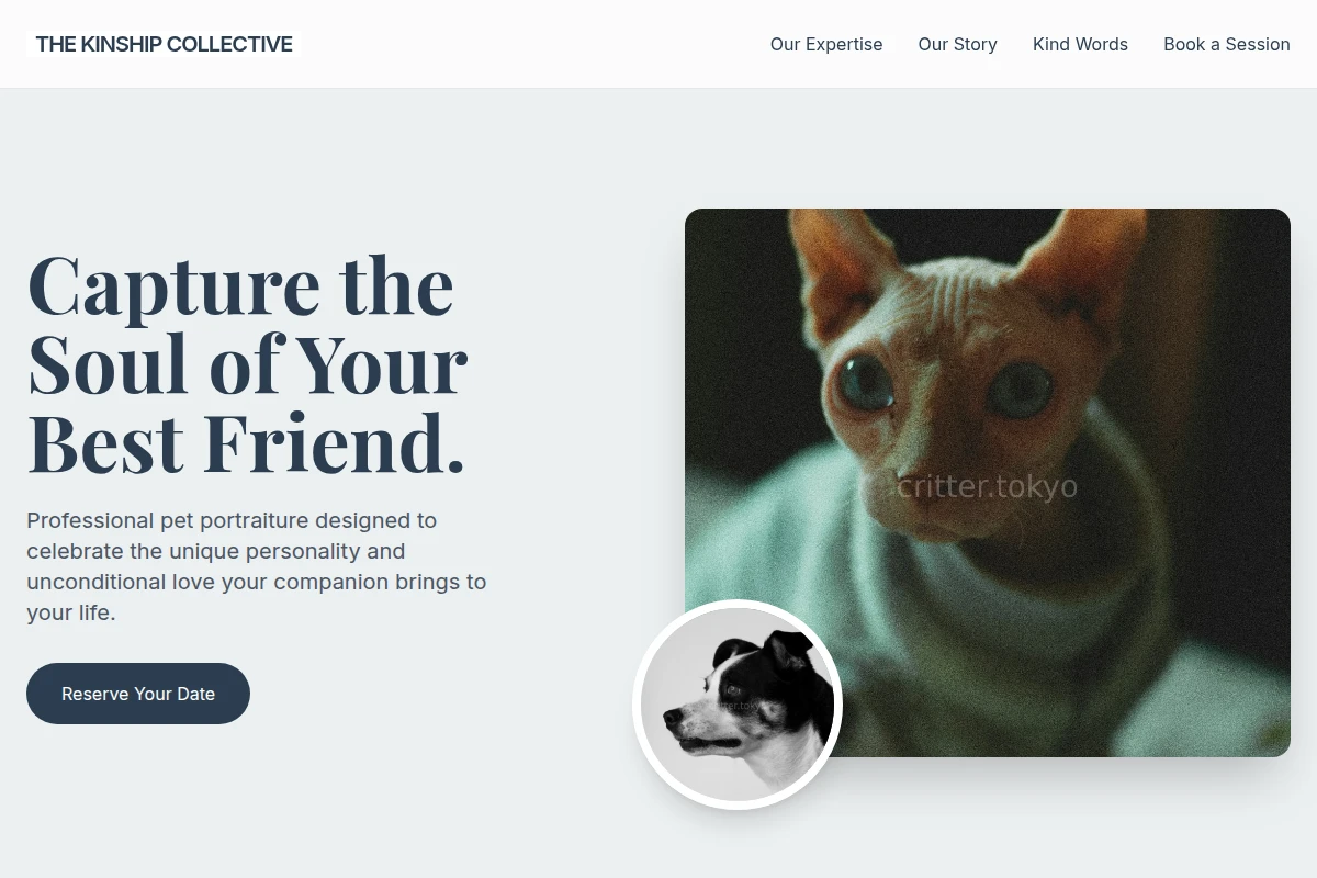 Nest Pet Photography