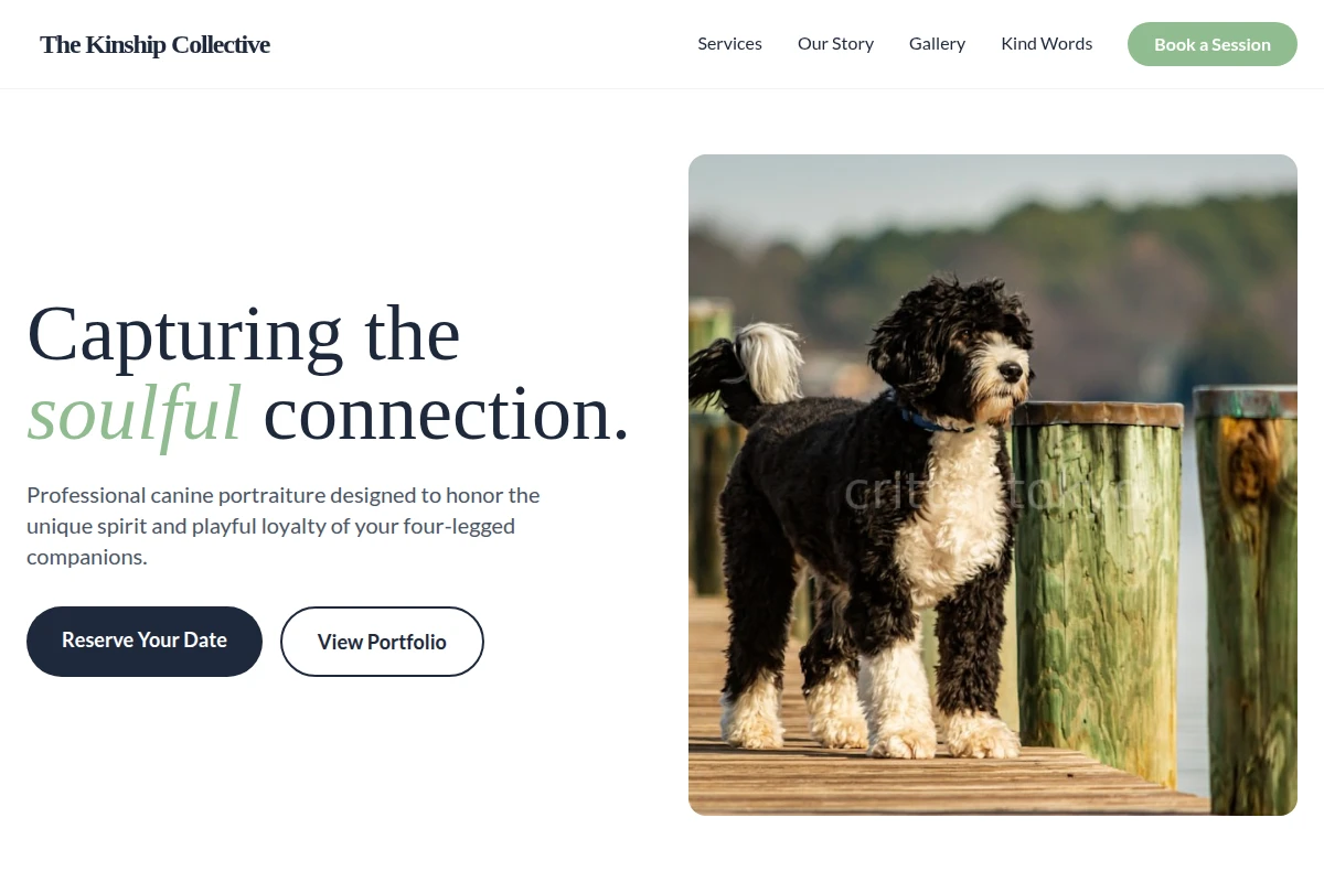Canine Pet Photography