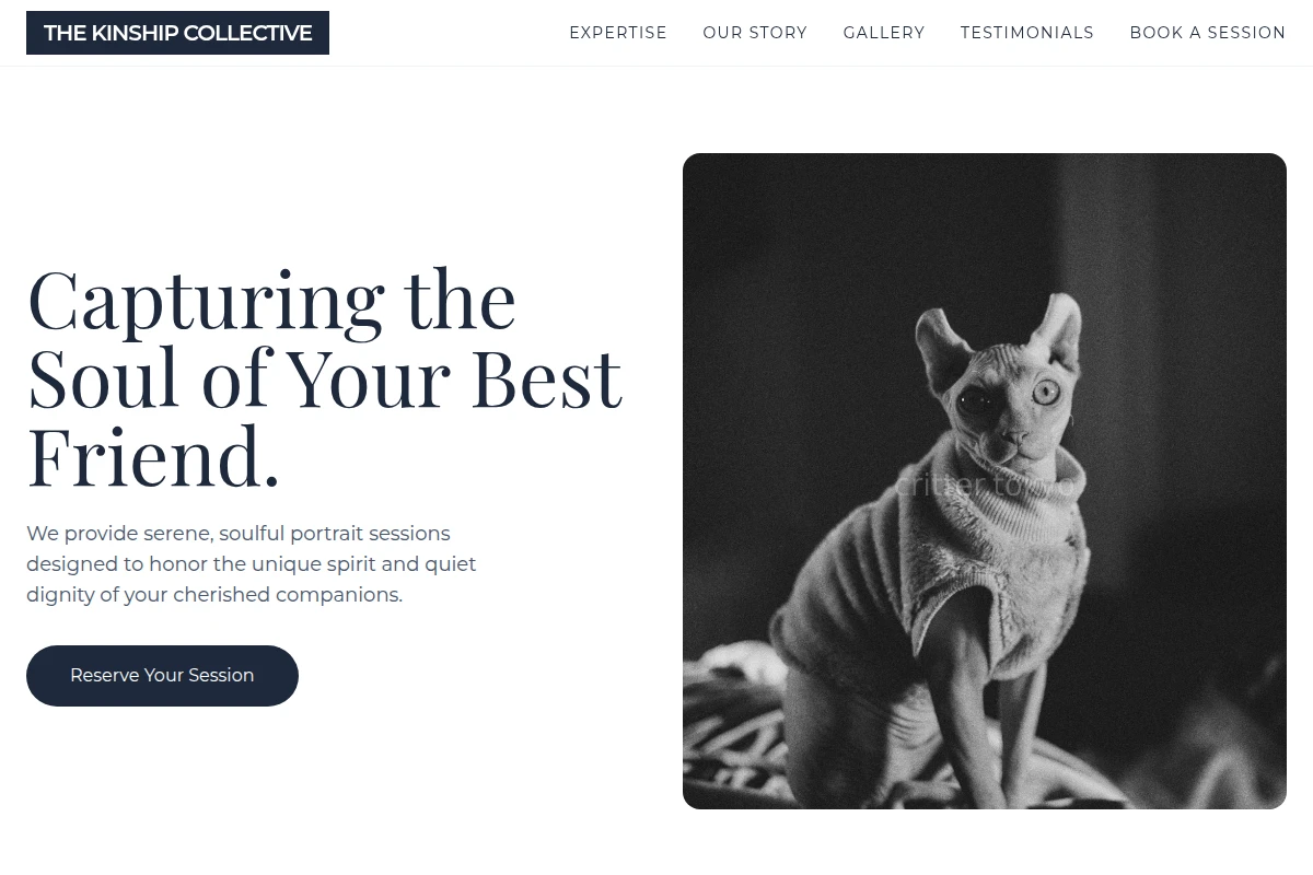 Zen Pet Photography