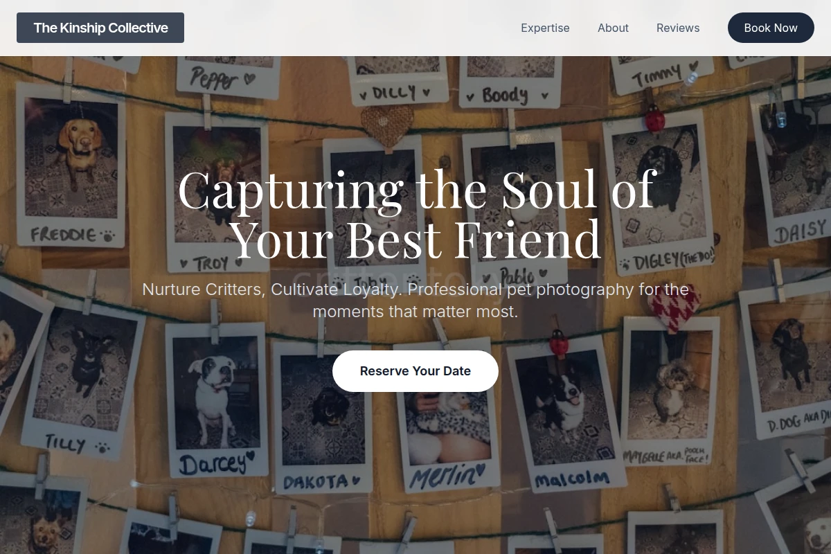 Bond Pet Photography