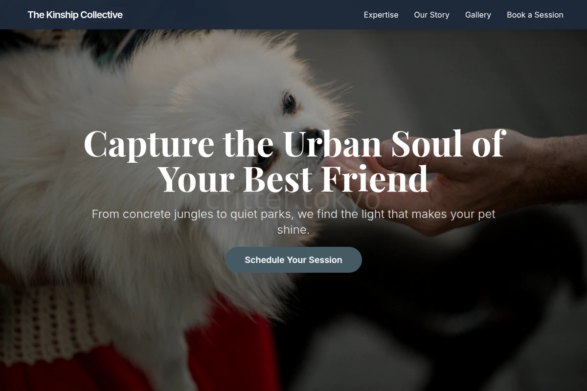 Urban Pet Photography