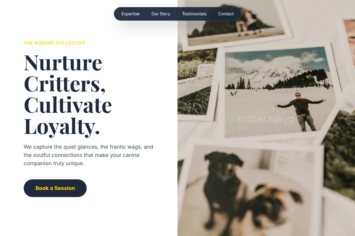 Canine Pet Photography