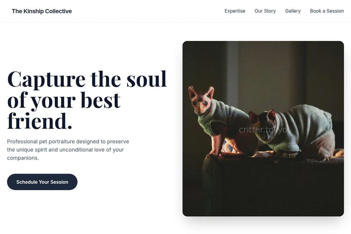 Bark Pet Photography