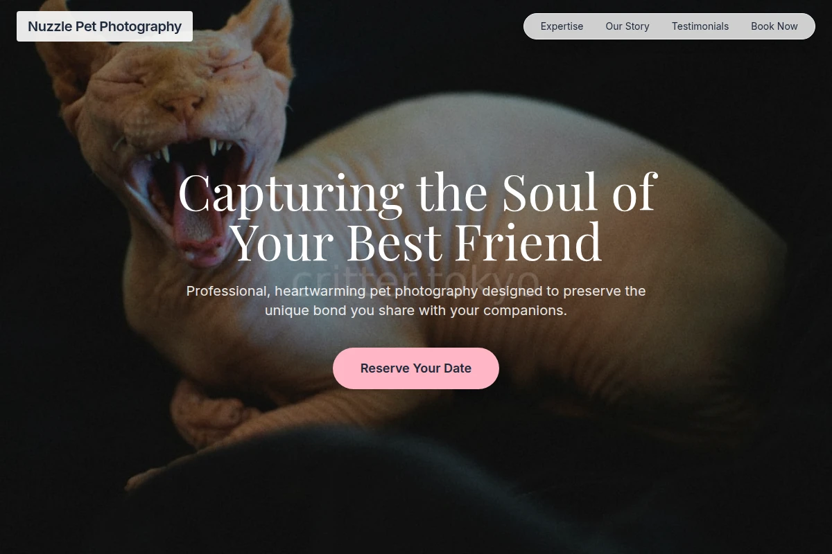 Nuzzle Pet Photography