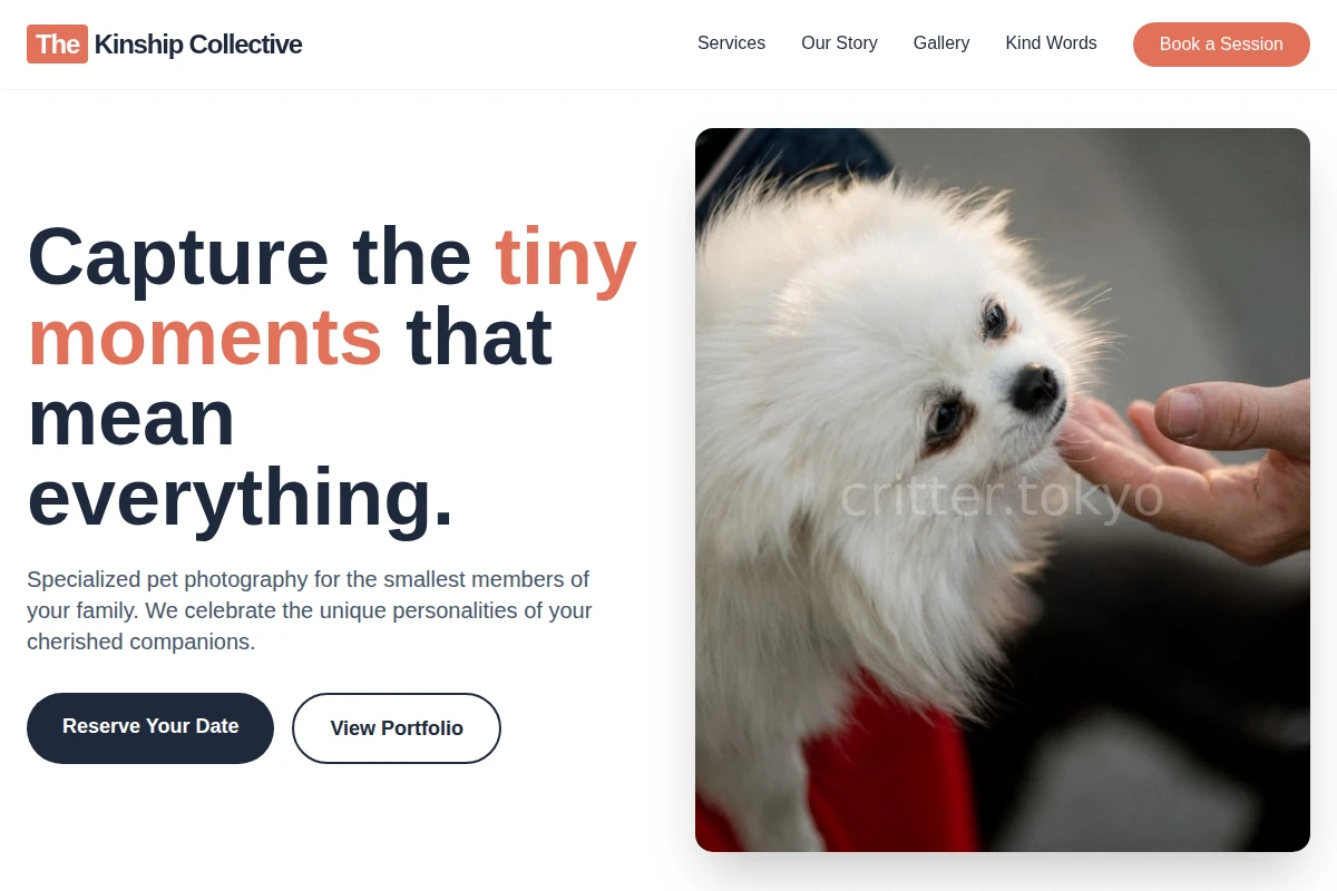 Tiny Pet Photography