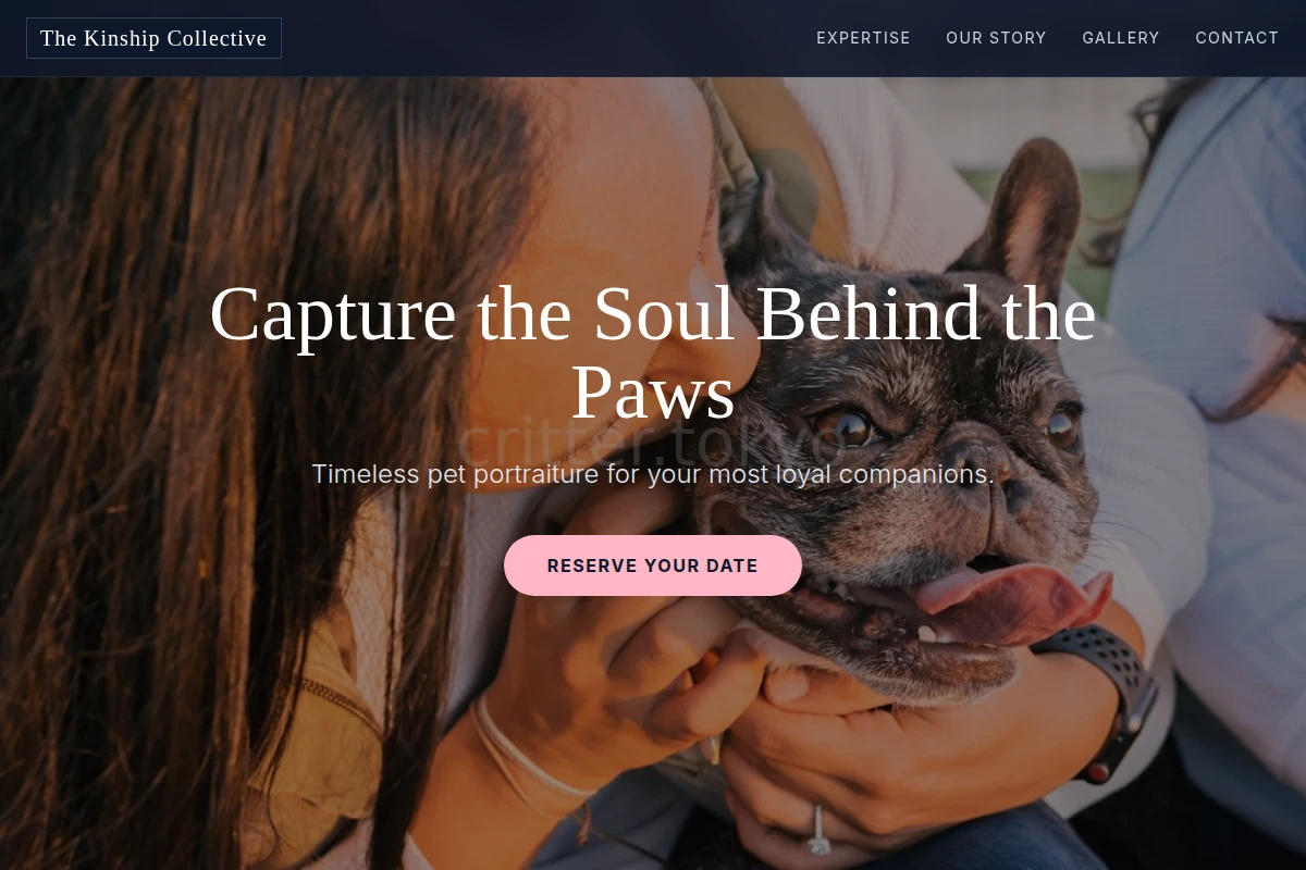 Tail Pet Photography