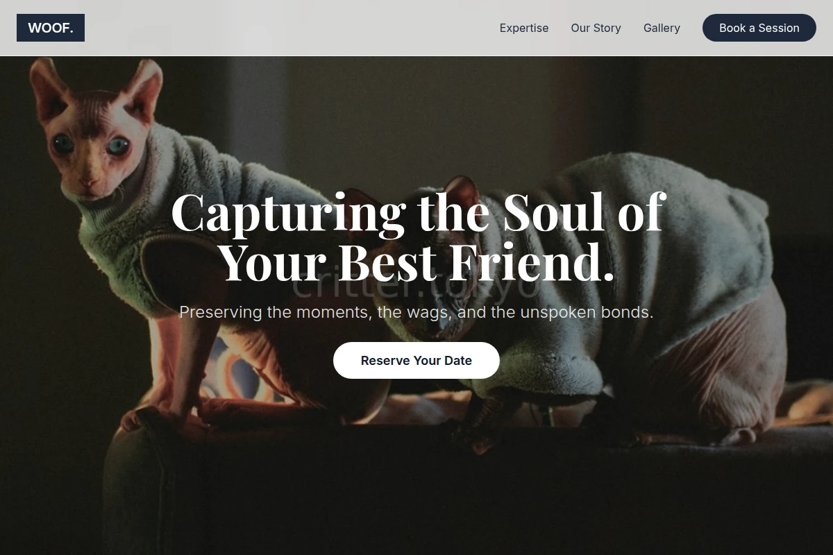 pet-photography