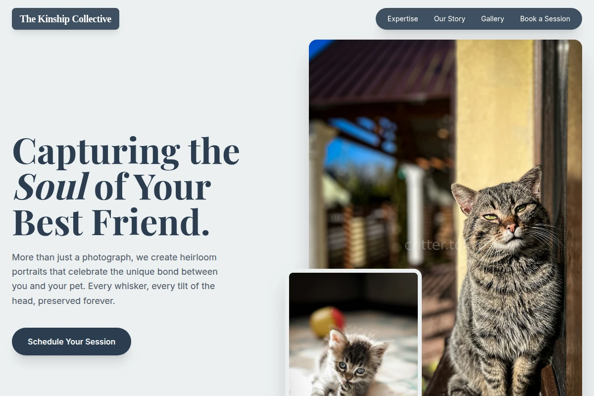 Boutique Pet Photography