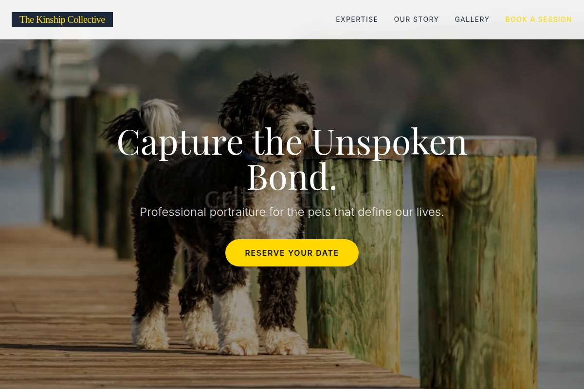 Niche Pet Photography