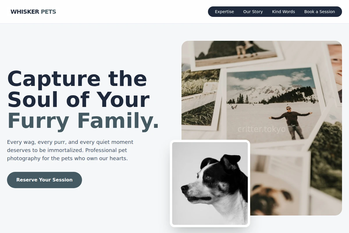 Whisker Pet Photography