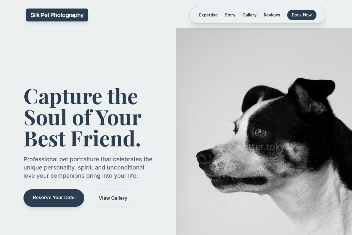 Silk Pet Photography
