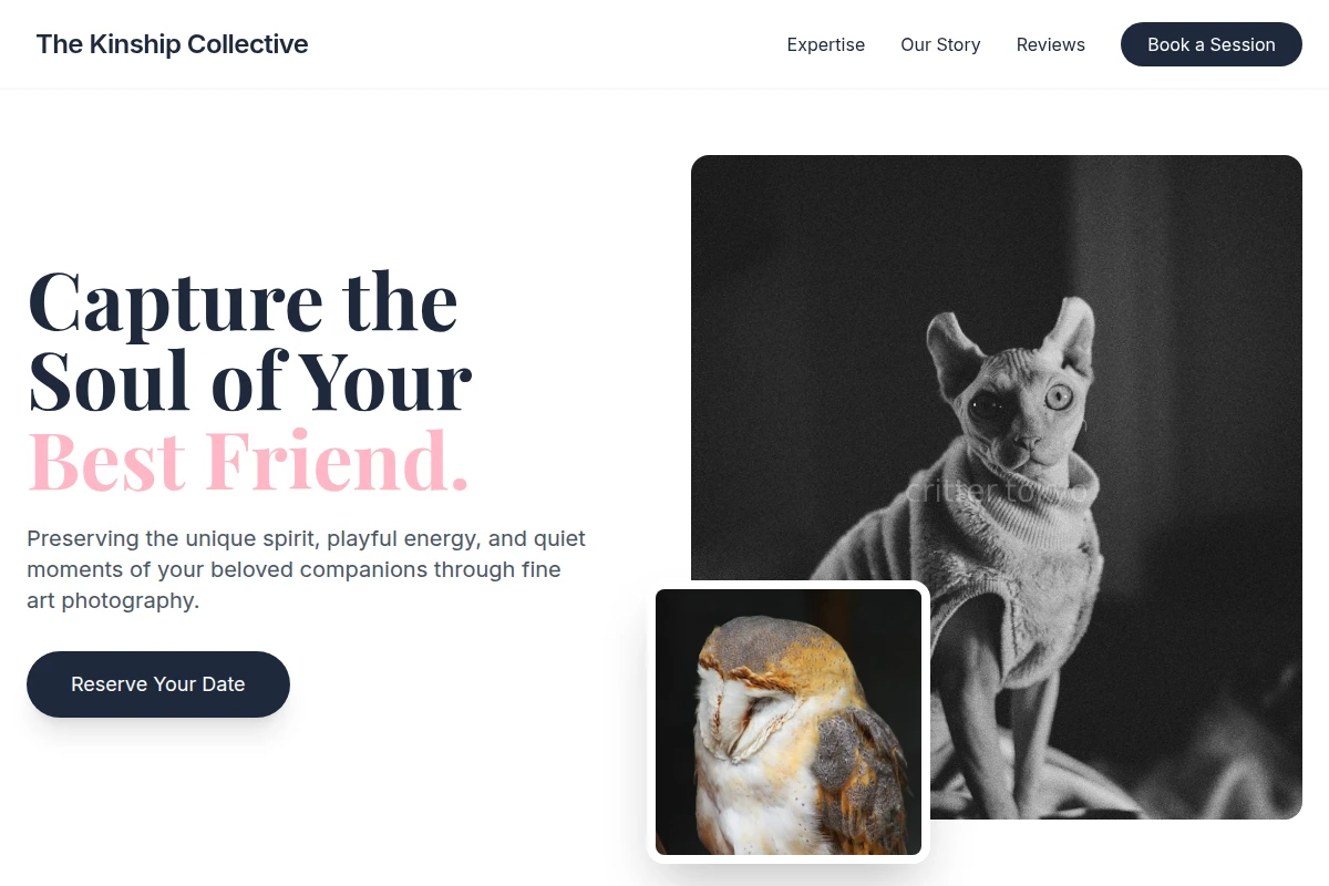 Woof Pet Photography