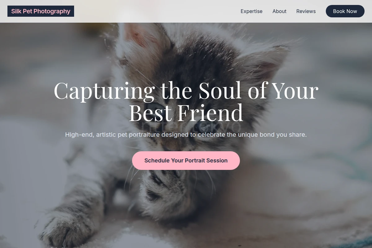 Silk Pet Photography