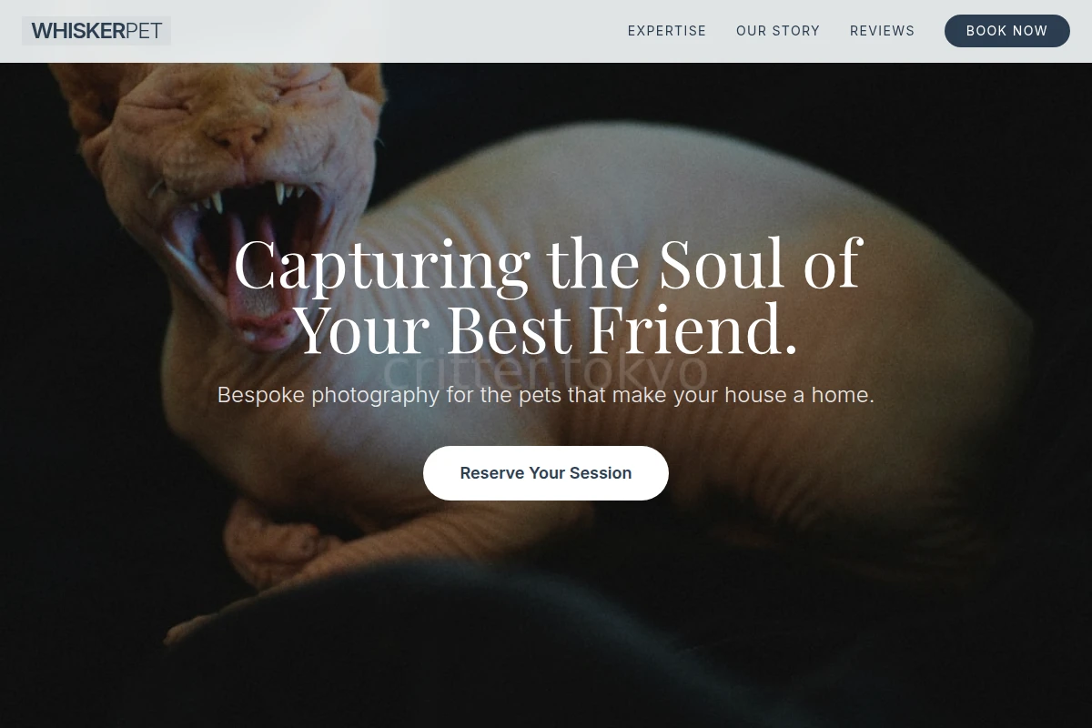 Whisker Pet Photography