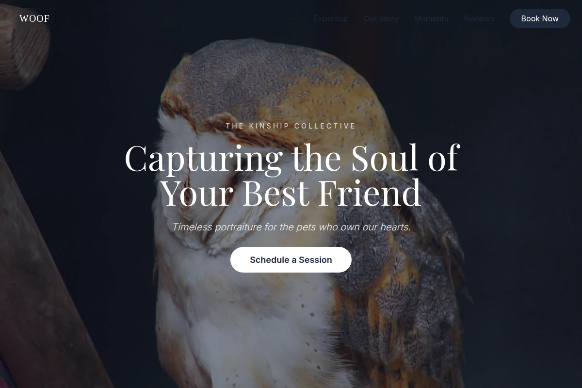 Woof Pet Photography