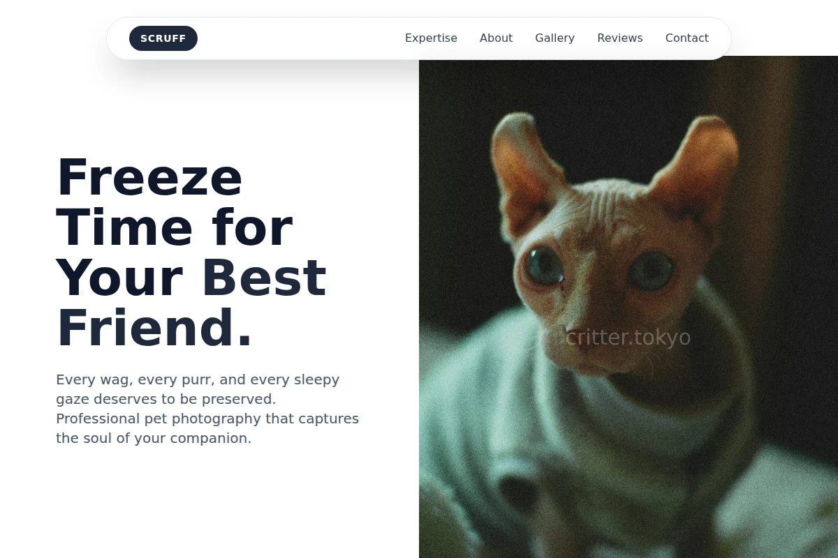Scruff Pet Photography