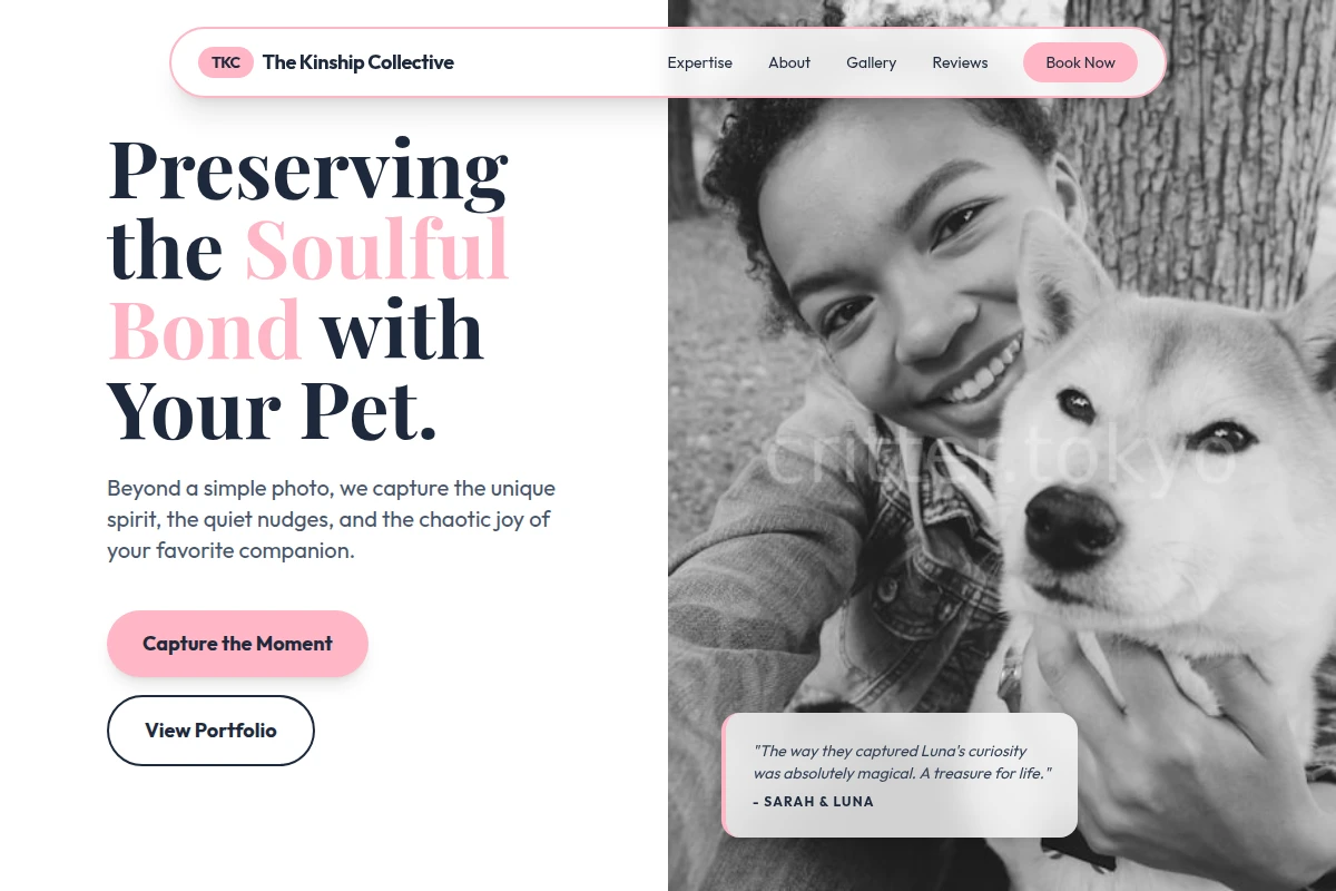 Fetch Pet Photography