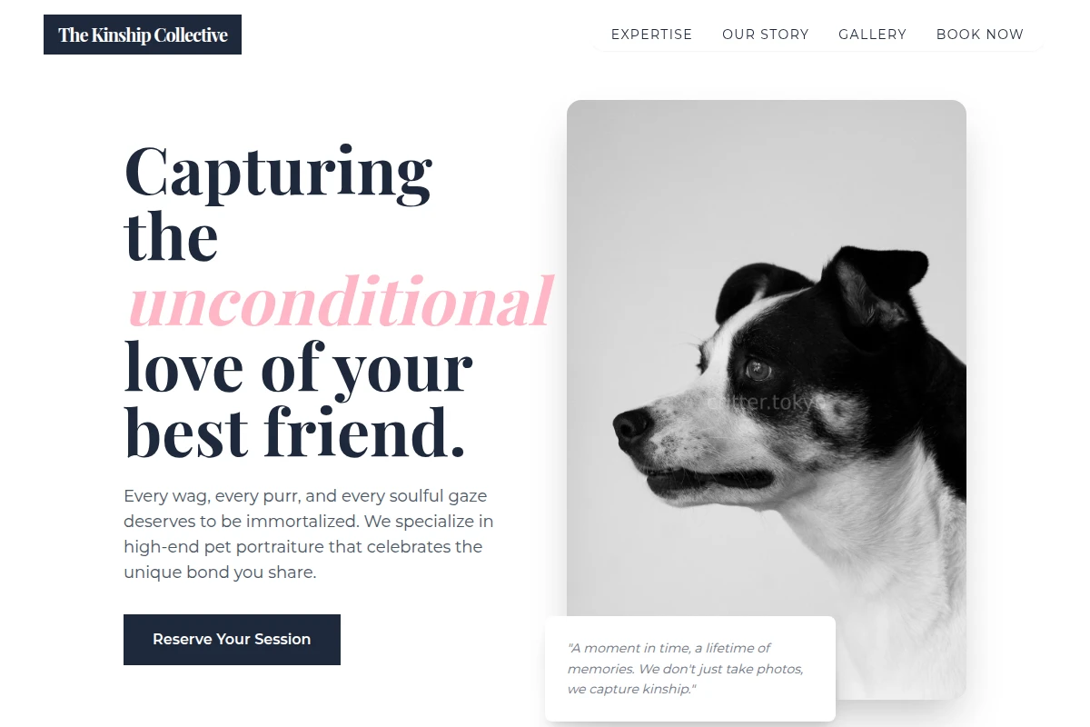 Nest Pet Photography