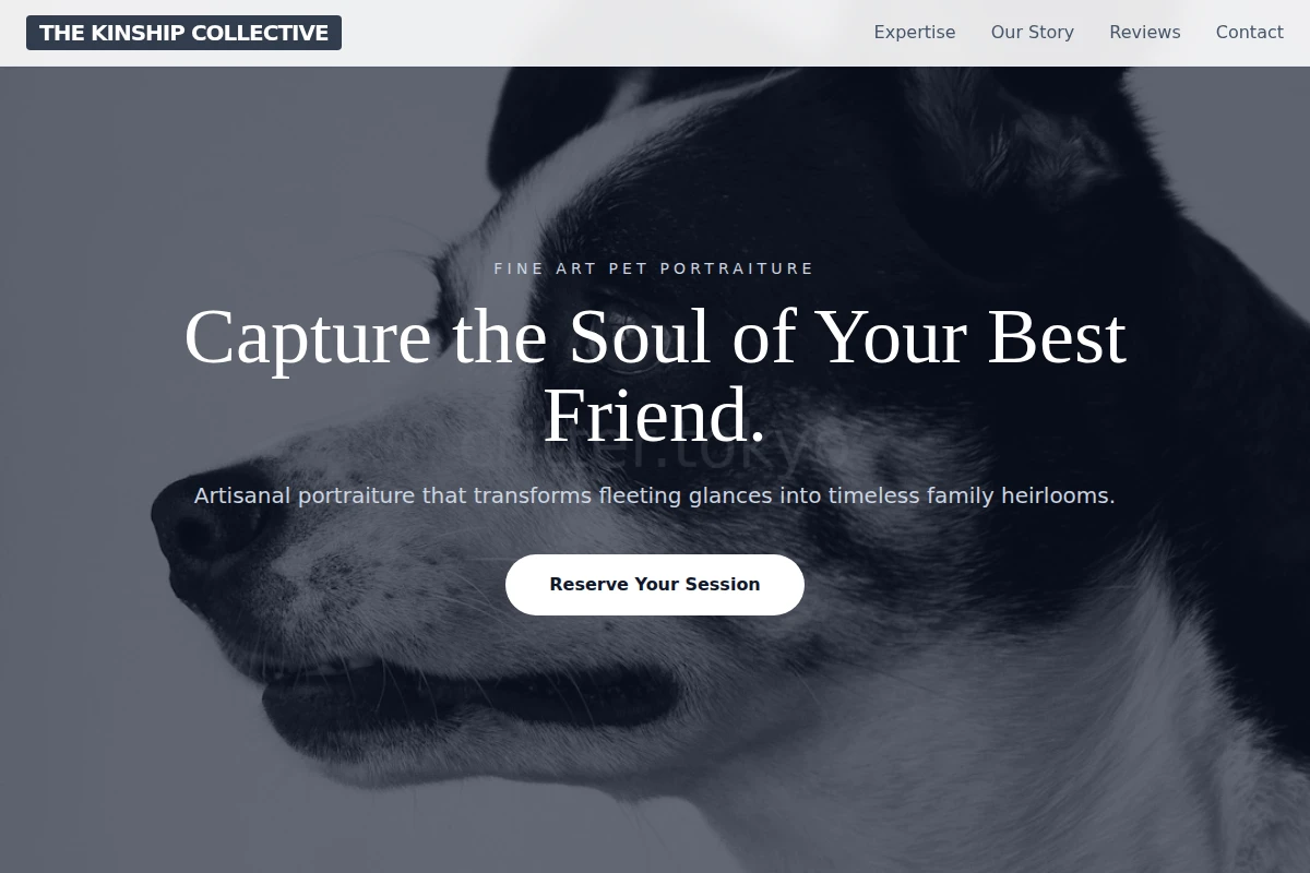 Boutique Pet Photography