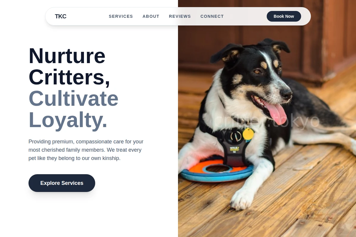 Pack Pet Services