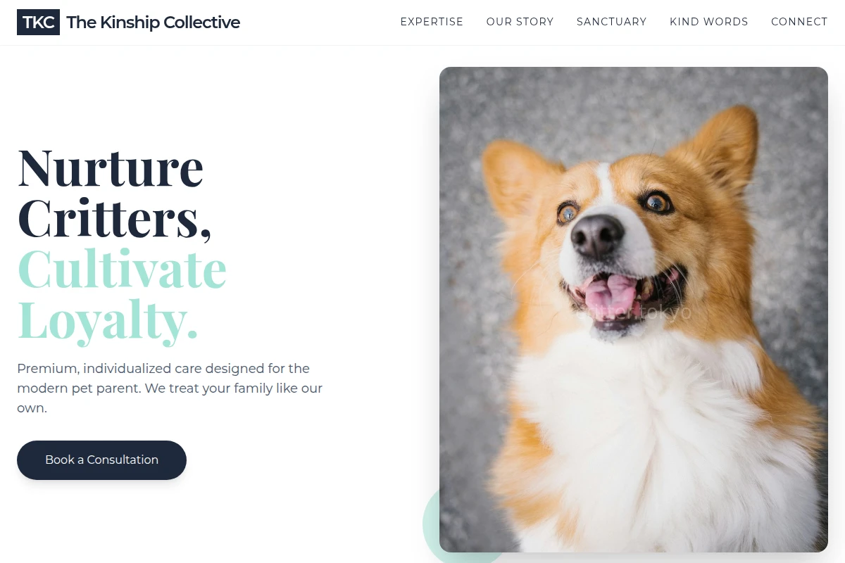 Pack Pet Services