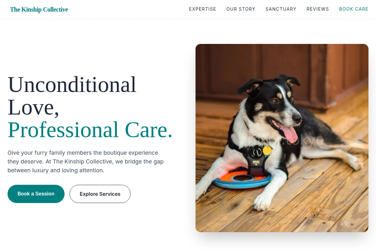 Treat Pet Services