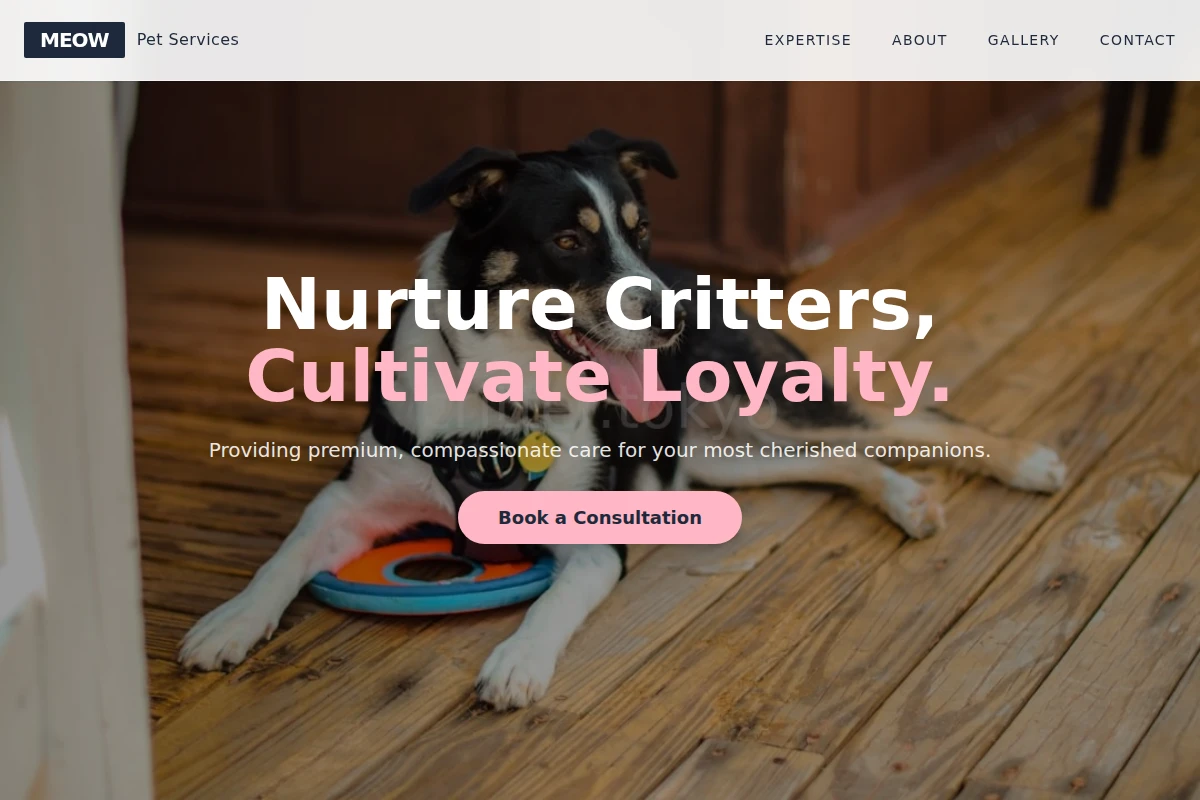 Meow Pet Services