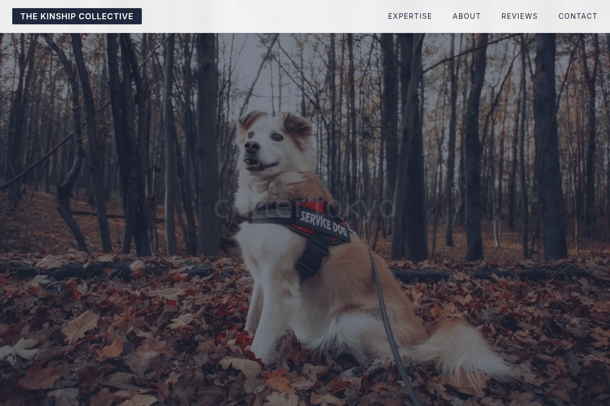 Love Pet Services