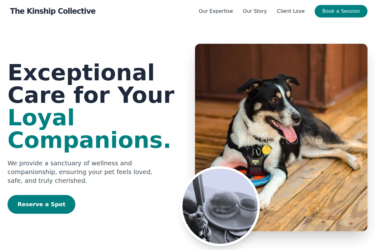 Velvet Pet Services