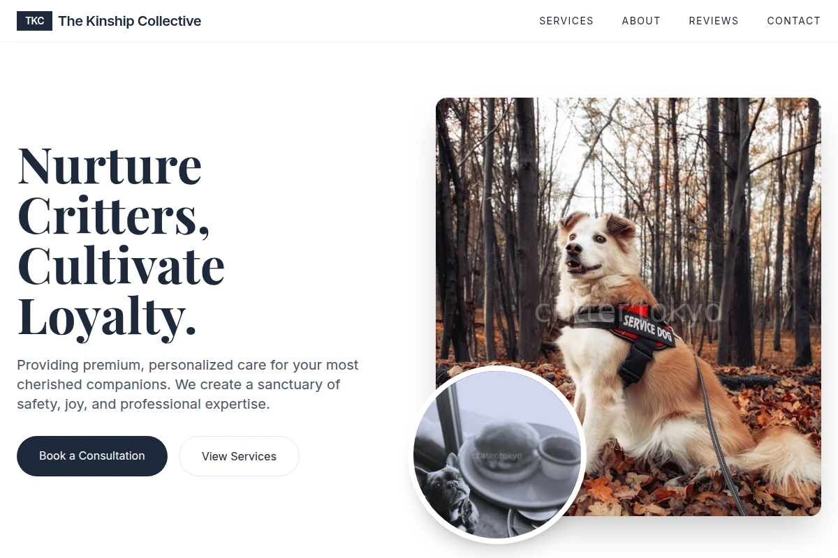 Pack Pet Services