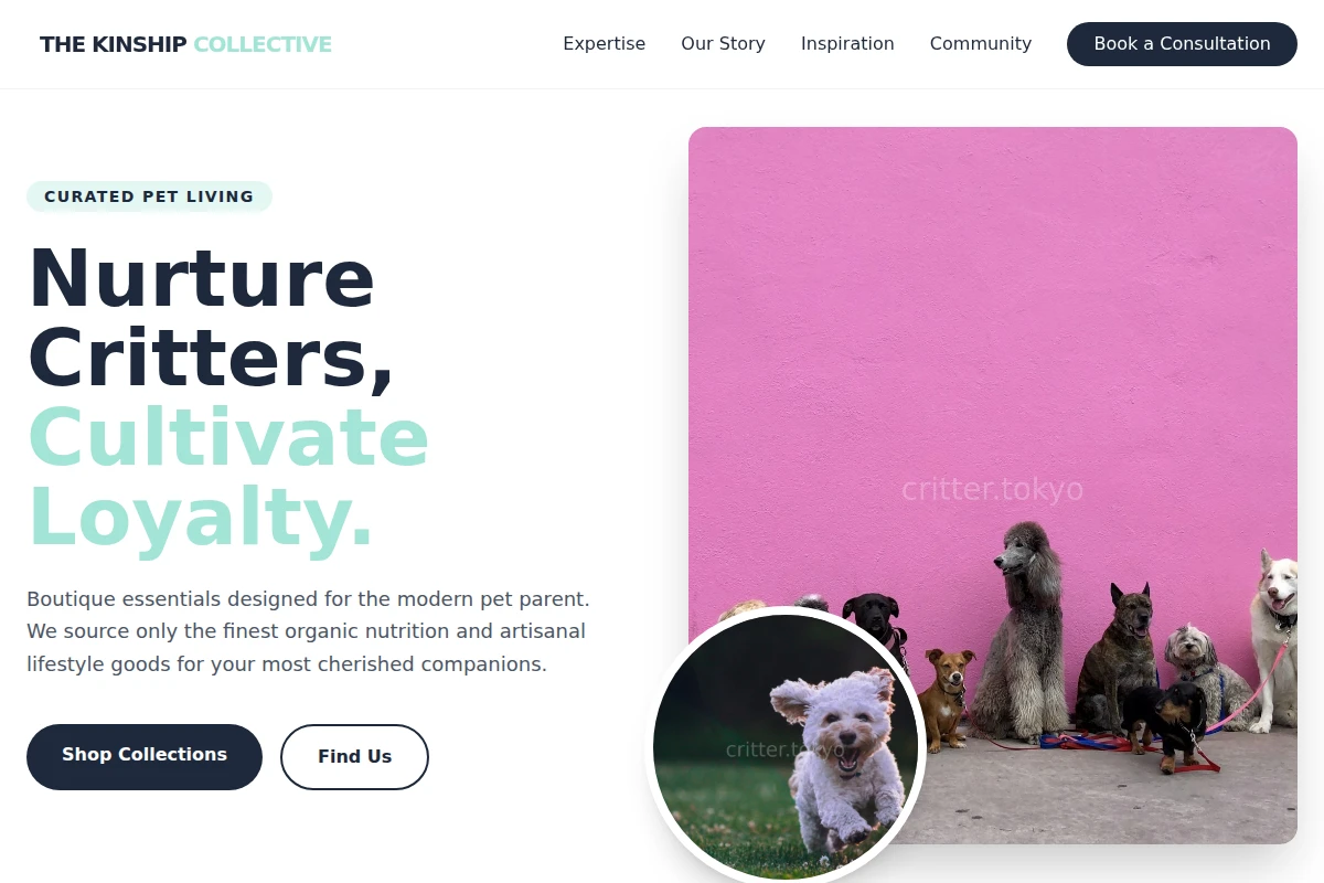 Boutique Pet Shop