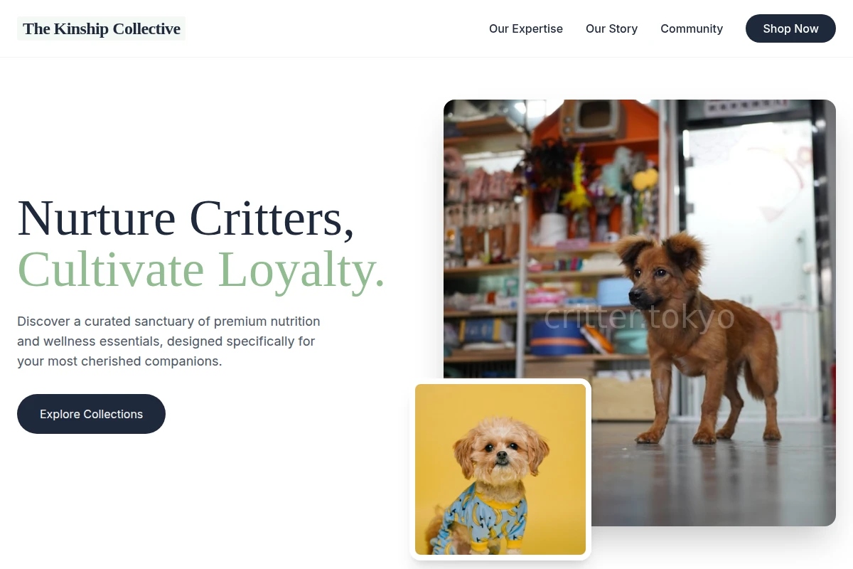 Silk Pet Shop
