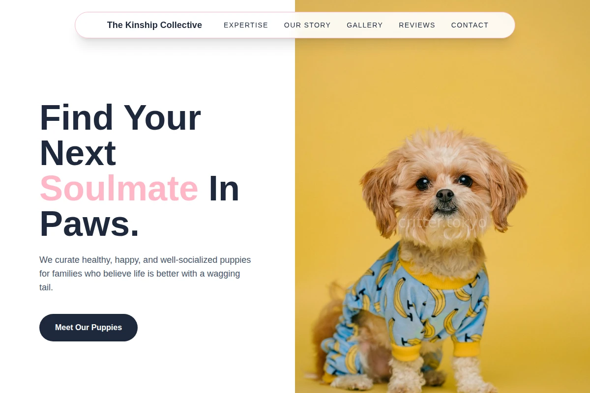 Puppy Pet Shop