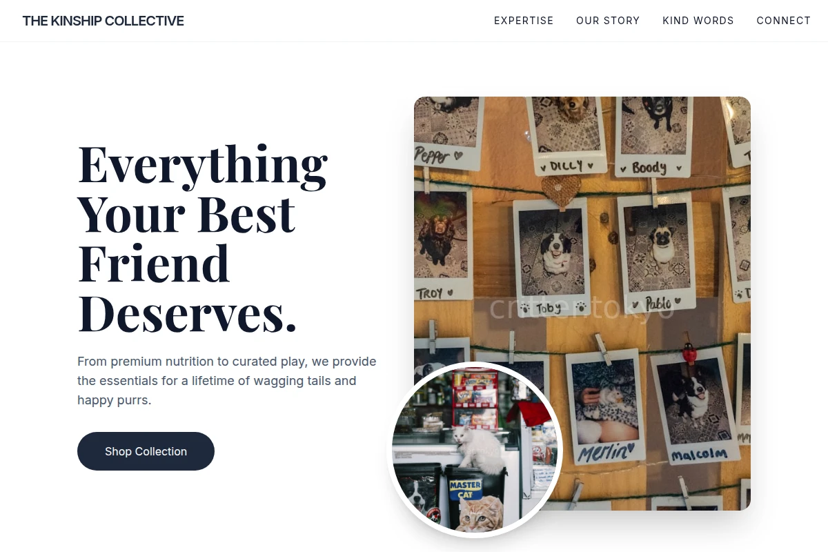 Bark Pet Shop